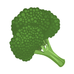 Food Broccoli